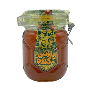 عسل طبیعی پارس کندو - 1 کیلو گرمی